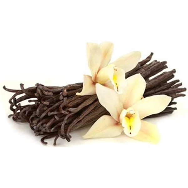Vanilla Extract Powder Flavour 1068 Natural